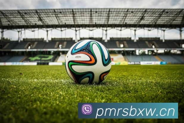 开云官网平台生态图