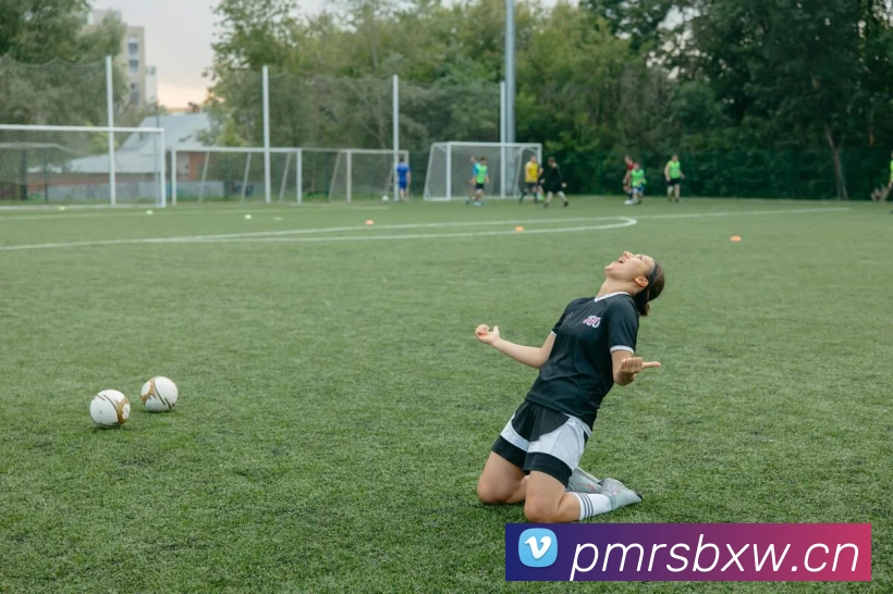 开云官网APP 封面图